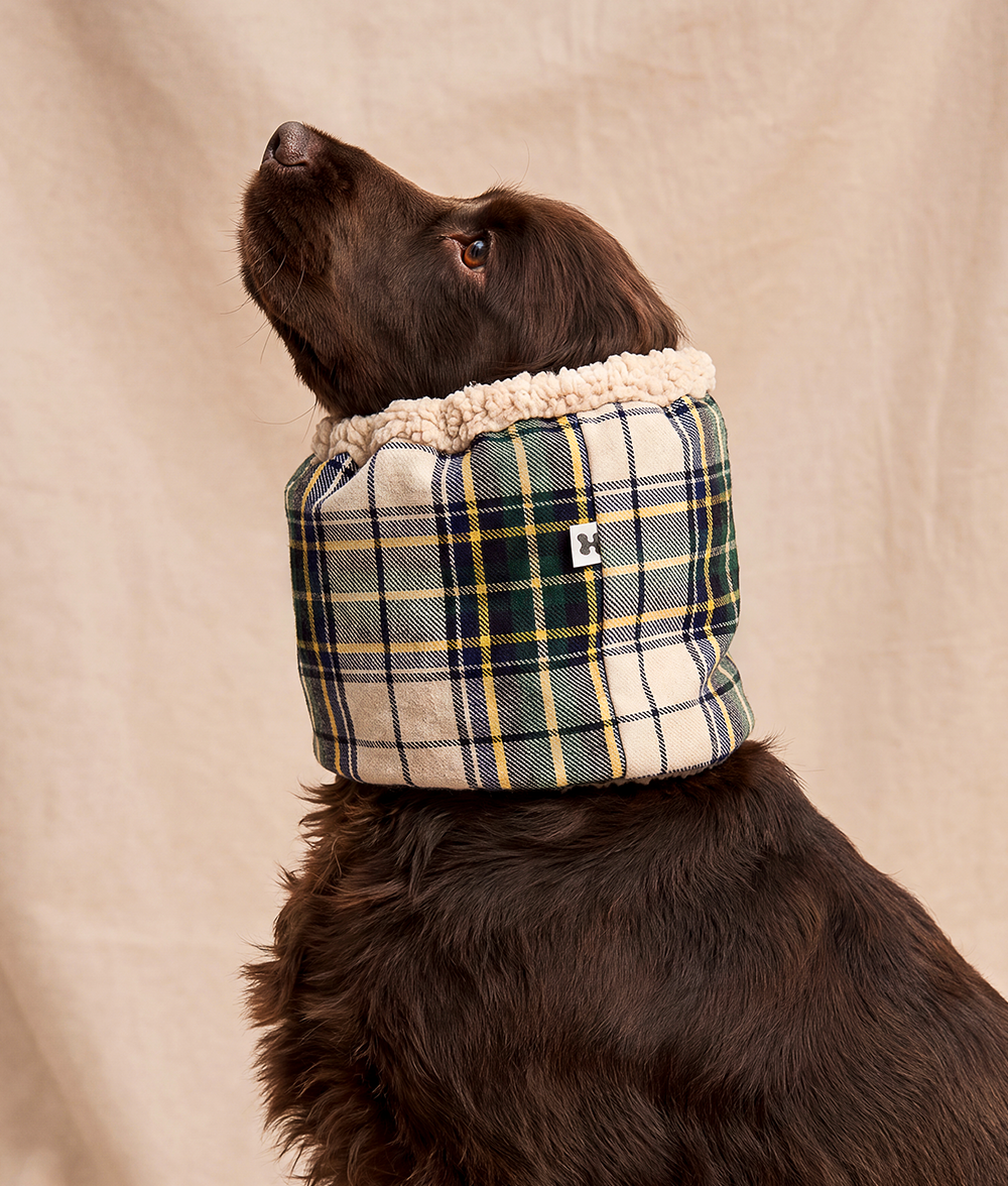 Hunde-Snood Tartan-Design Beige, Olga