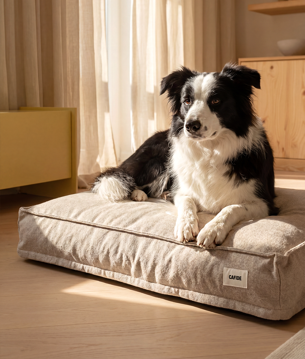 Beige Dog Bed, Cuadra
