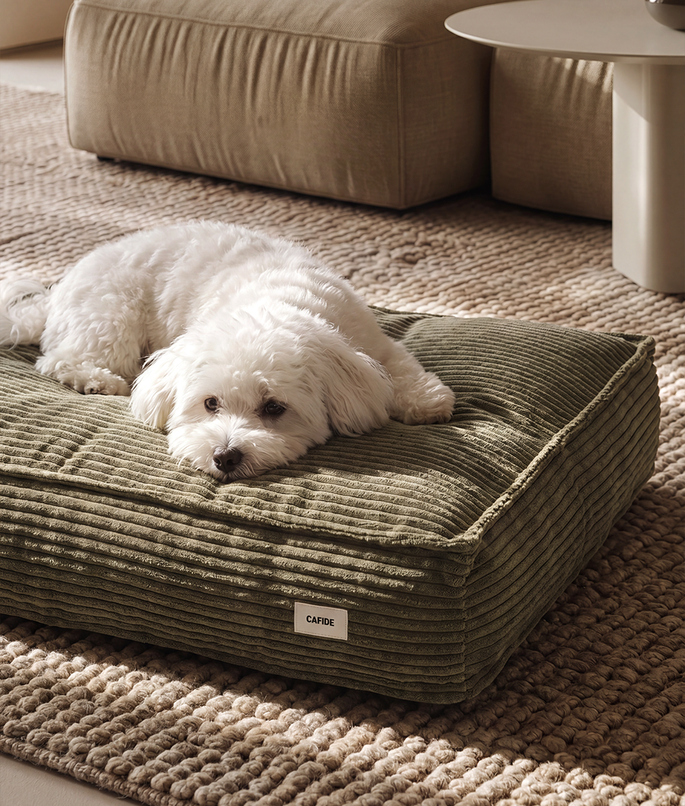 Green Corduroy Dog Bed, Cuadra