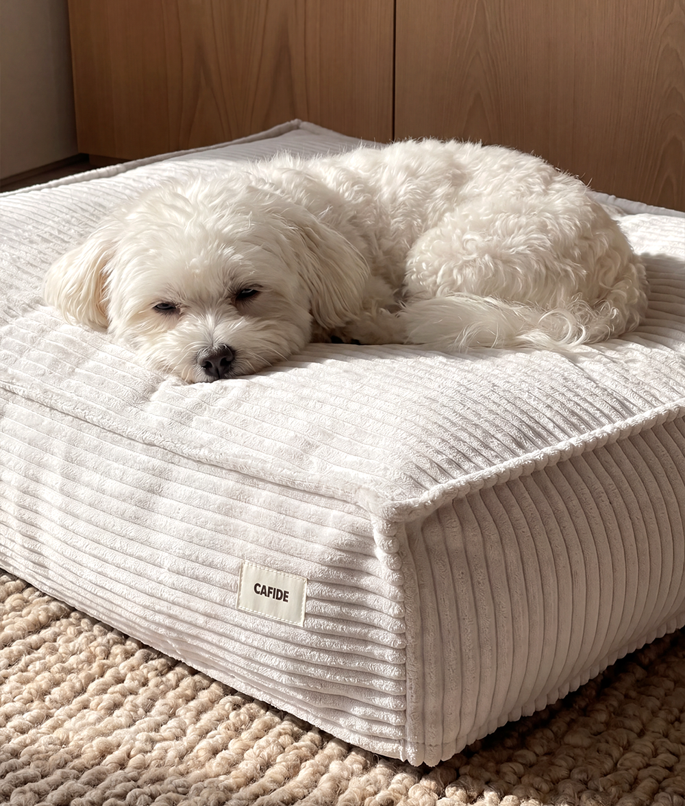 White Corduroy Dog Bed, Cuadra