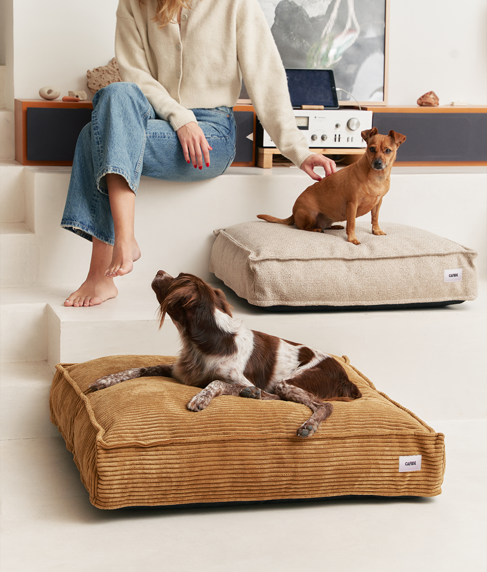 Mustard Corduroy Dog Bed, Cuadra