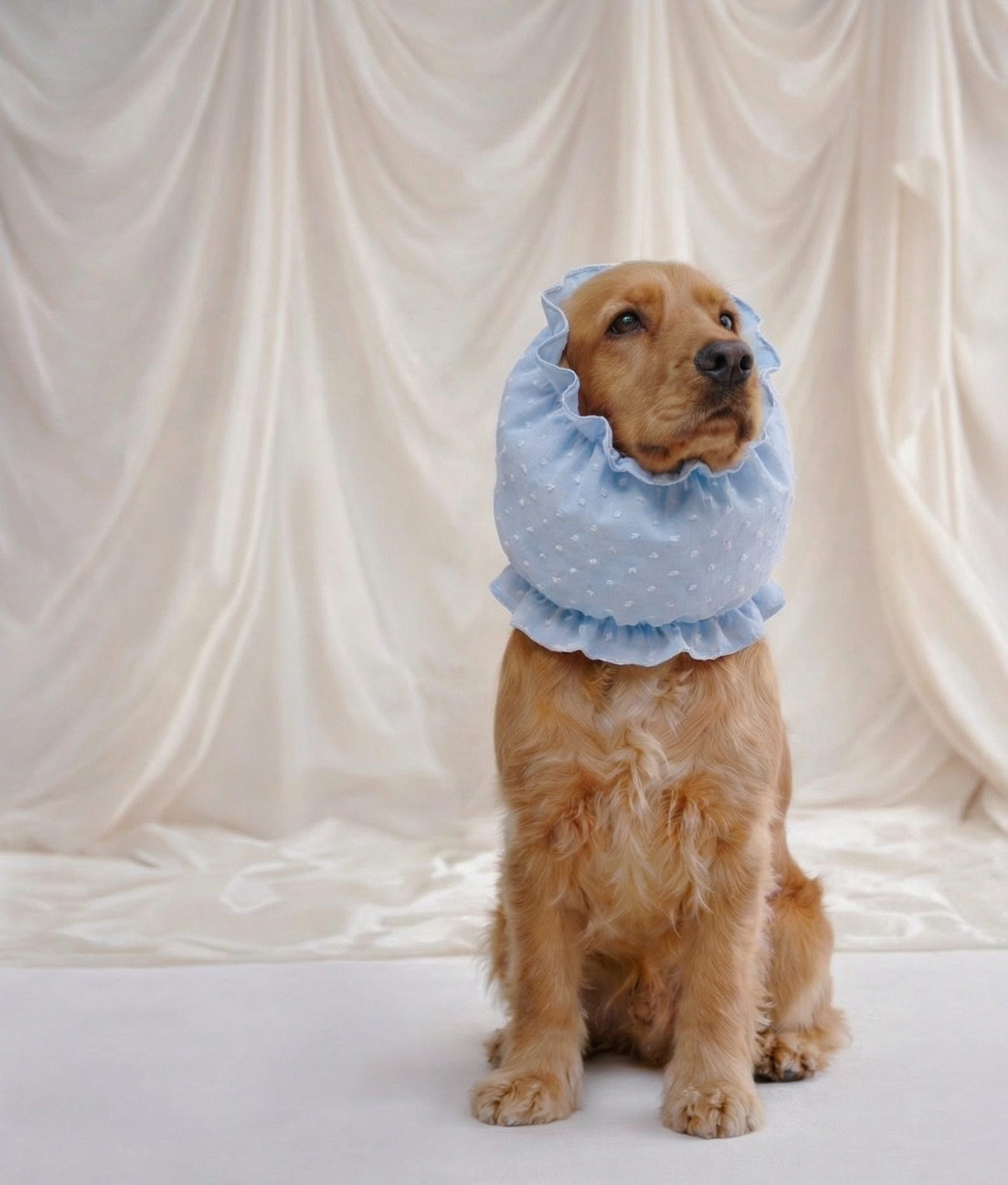 Dog Snood Blue Plumeti Design, Olga