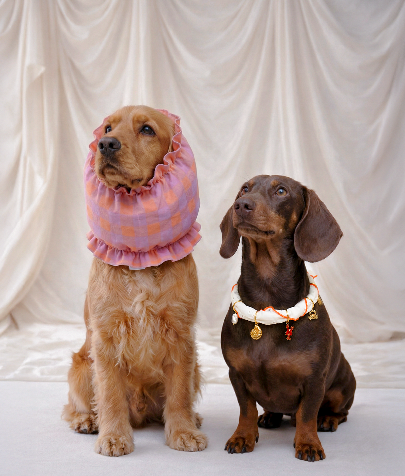 Dog Snood Violet Vichy Design, Olga