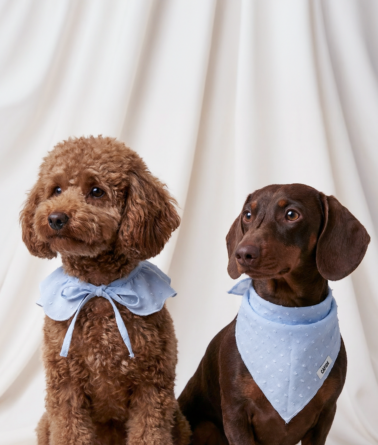 Dog Bandana Blue Plumeti Design, Nata