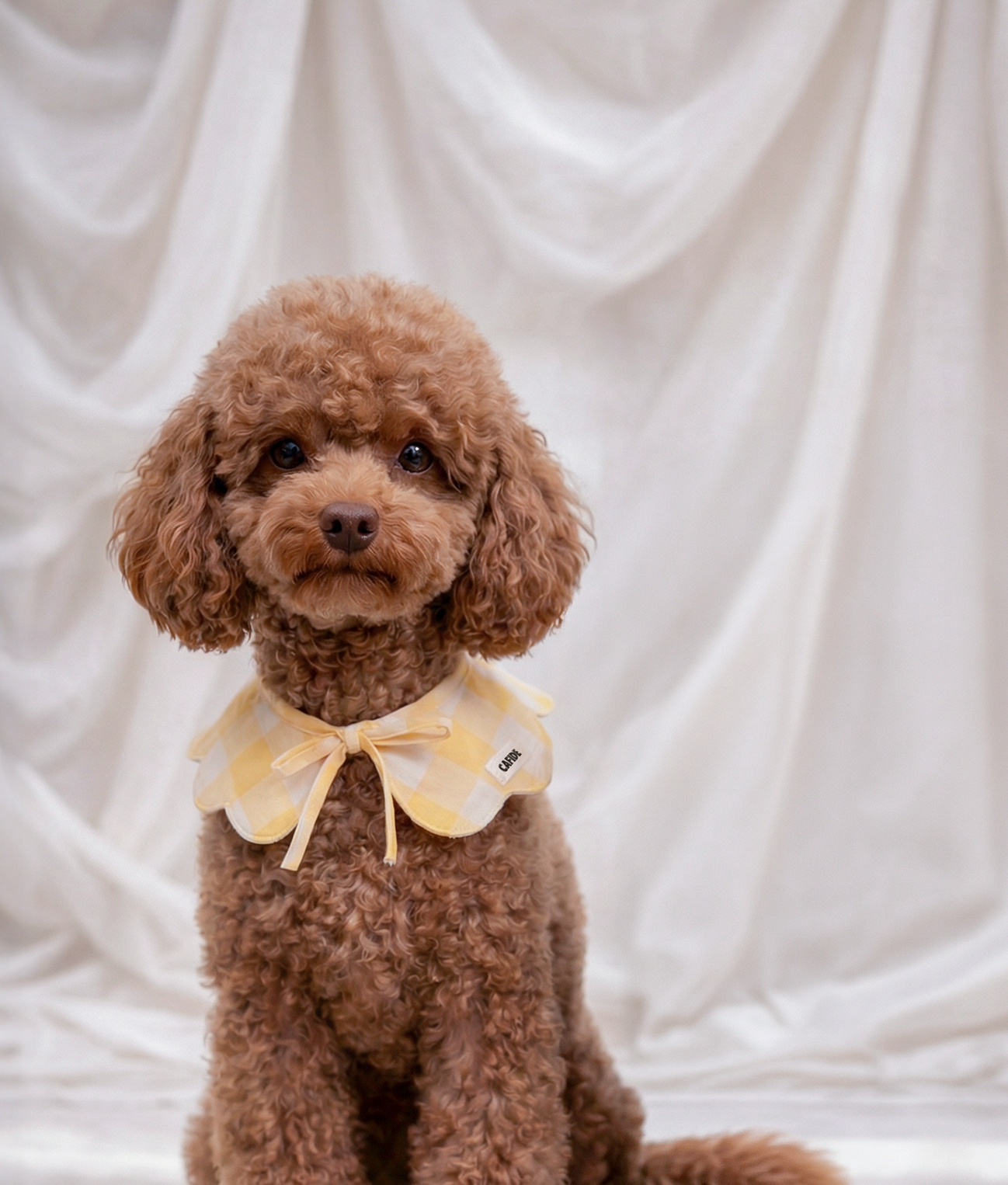Yellow Gingham Dog Neck Bandana, Lola