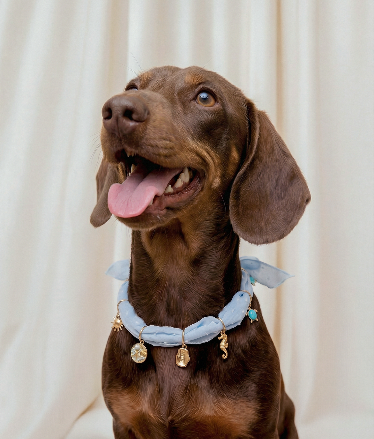 Dog Charms Bandana Blue Plumeti Marine, Sira