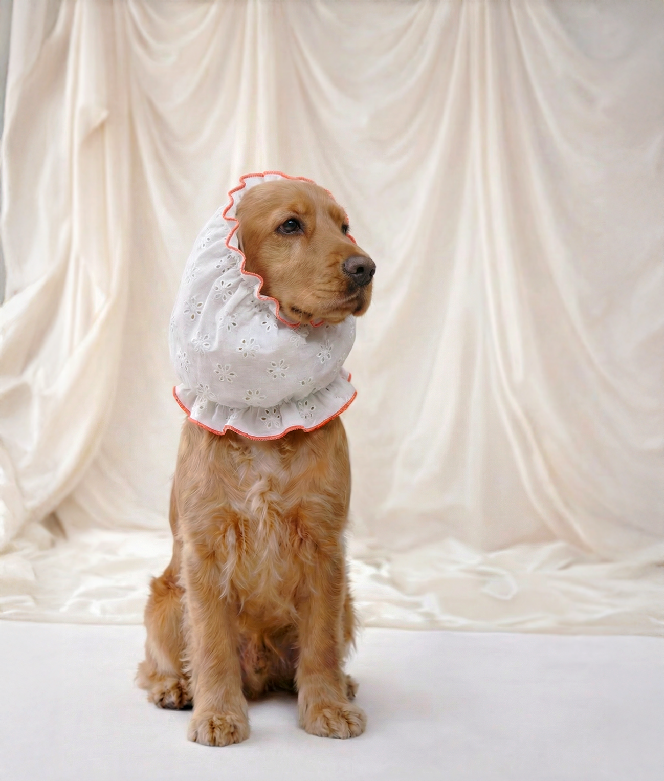 Dog Snood Coral Broderie Anglaise Design, Olga