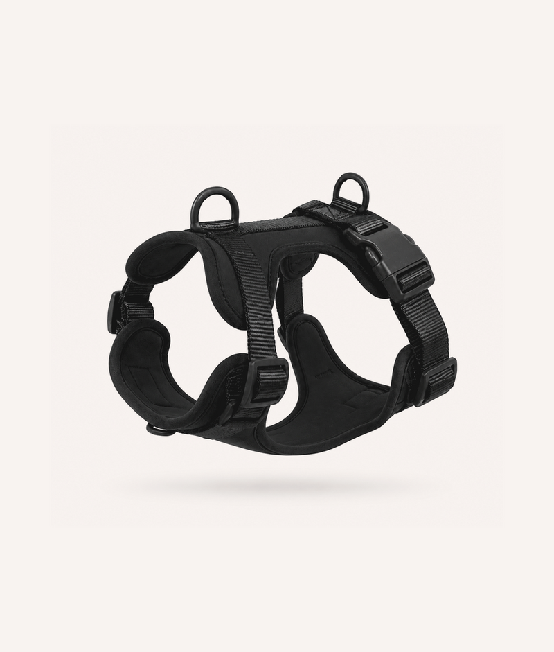 Hundegeschirr Schwarz, Gala