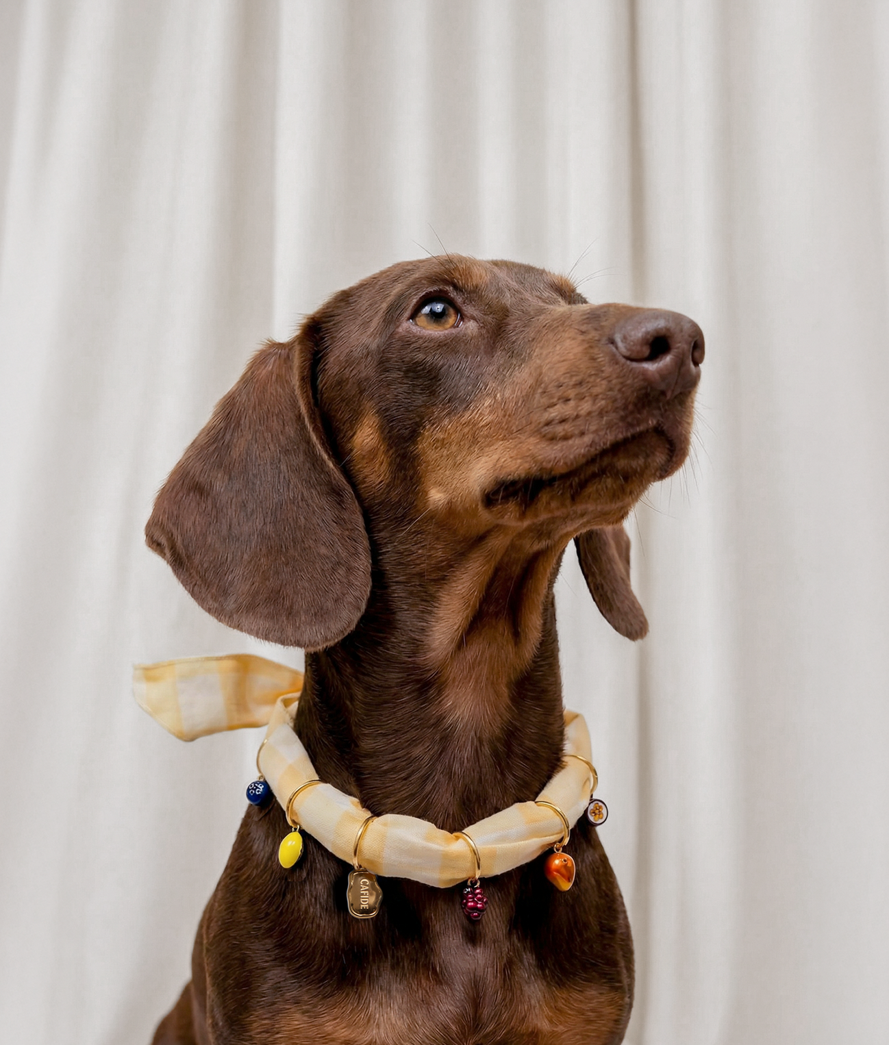 Dog Charms Bandana Yellow Vichy Fruits, Sira