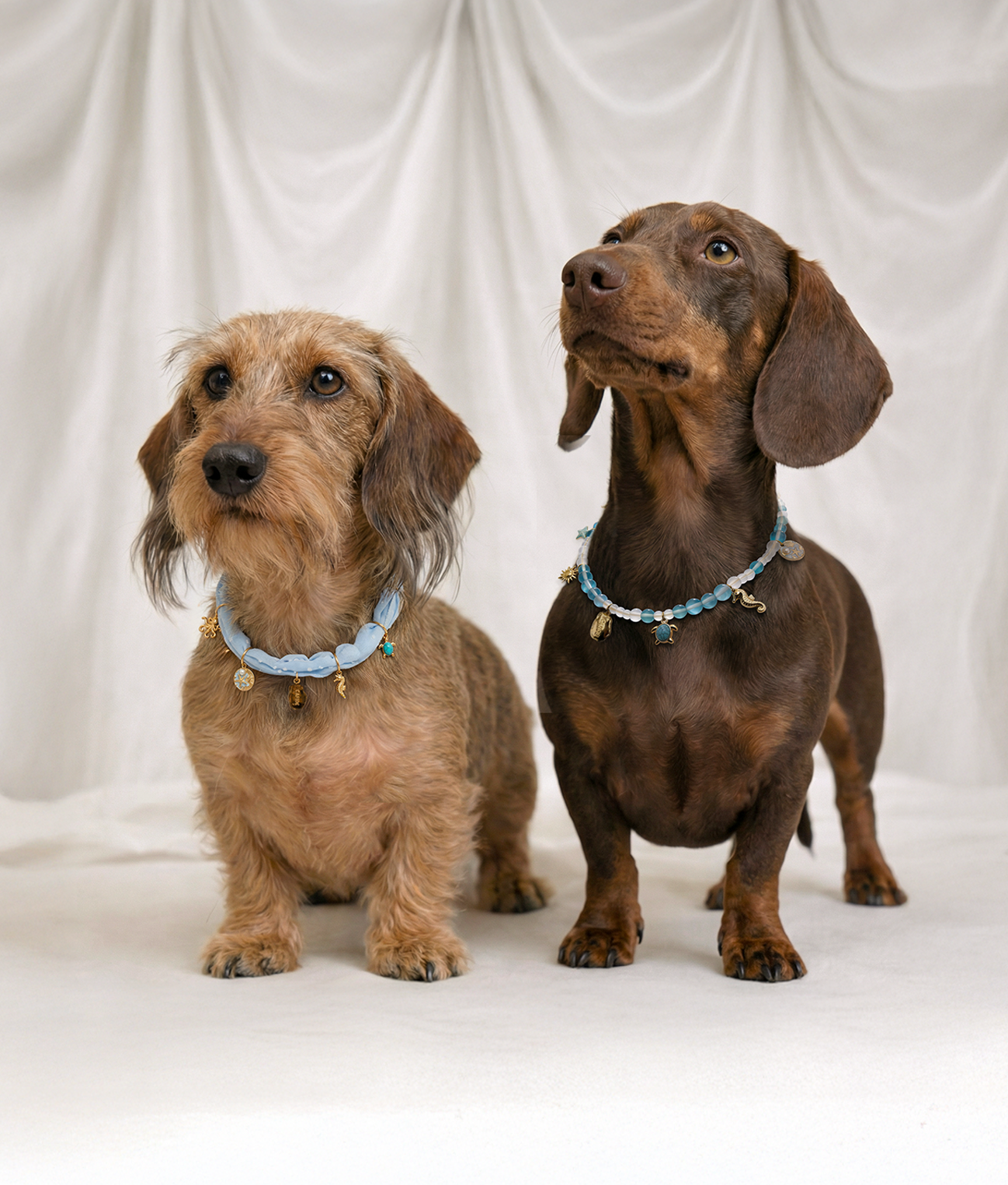 Sea Dog Charm Necklace, Sira