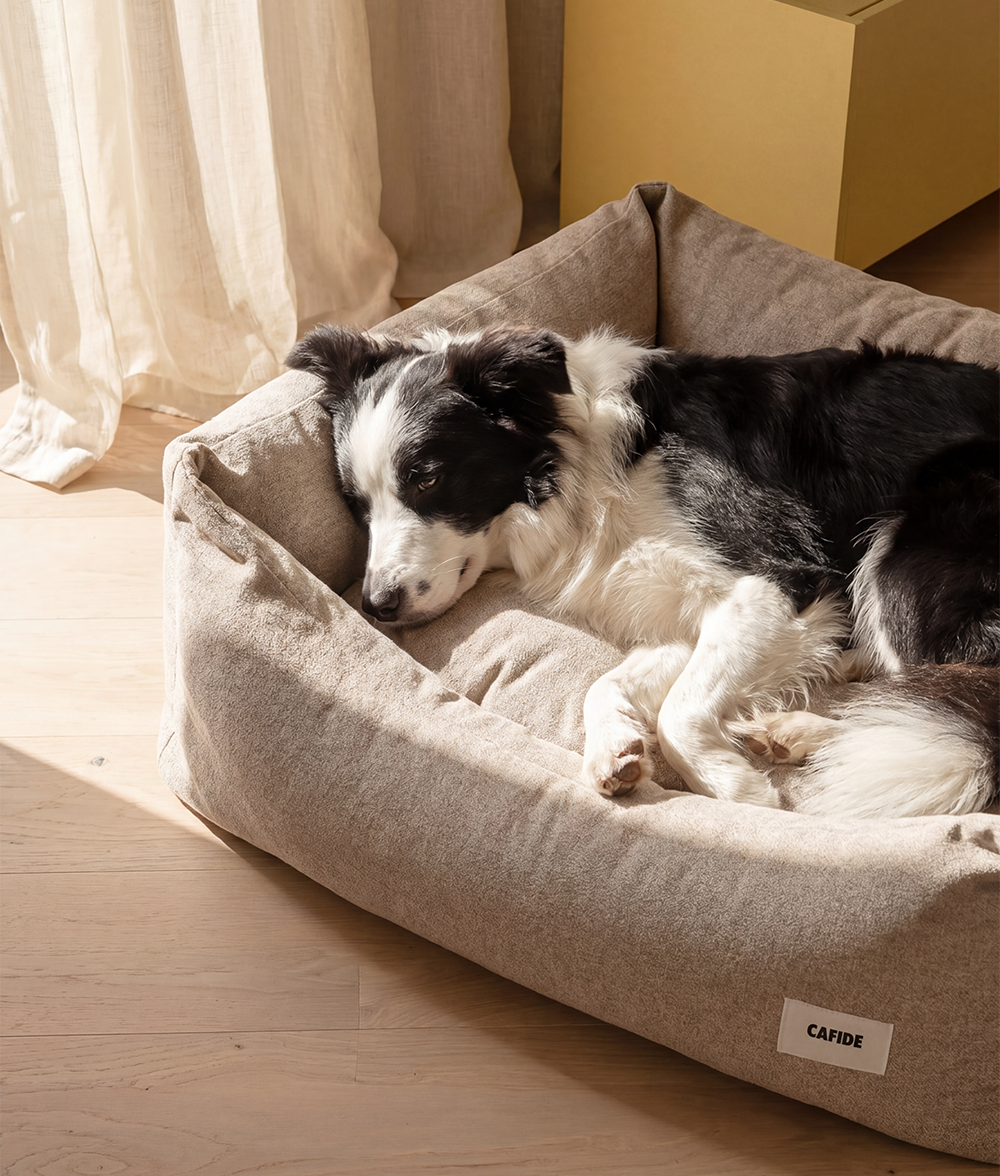 Beige Dog Bed, Snozy