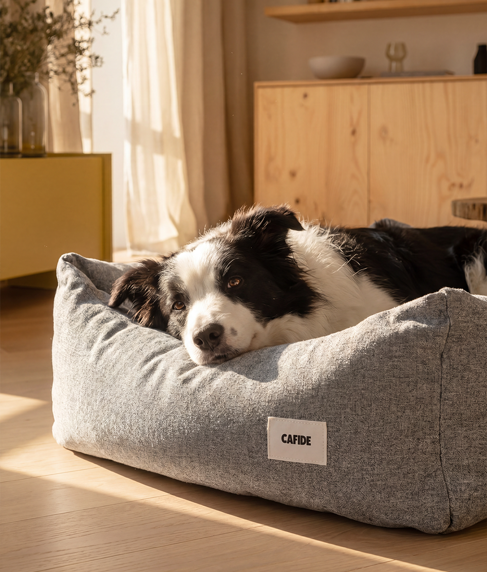 Graues Hundebett, Snozy