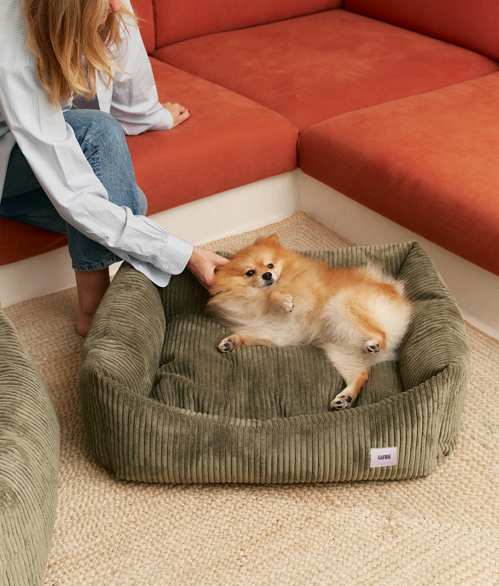 Green Corduroy Dog Bed, Snozy