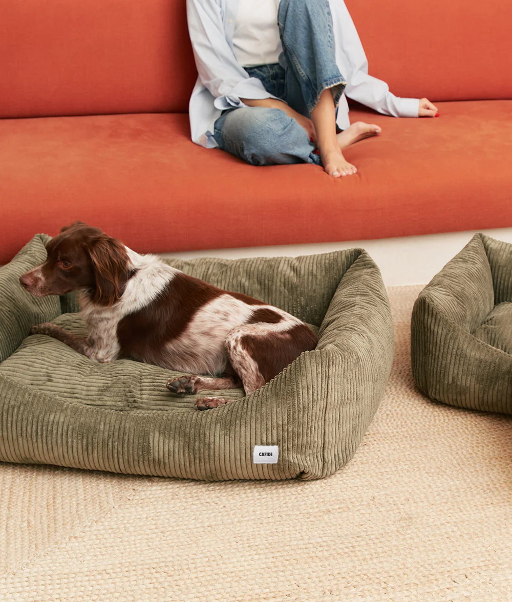 Green Corduroy Dog Bed, Snozy