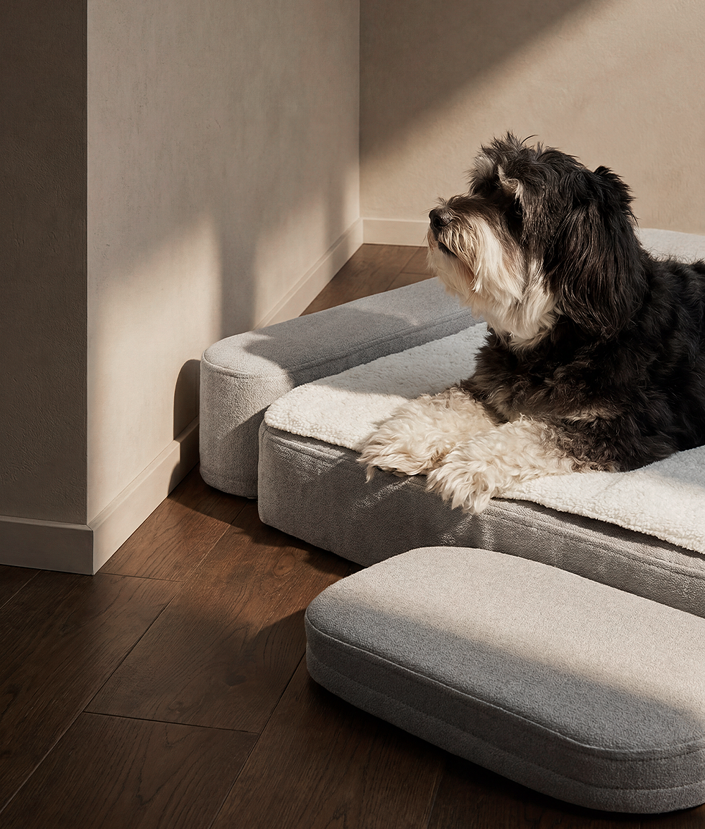 Panier orthopédique pour chien, Soma