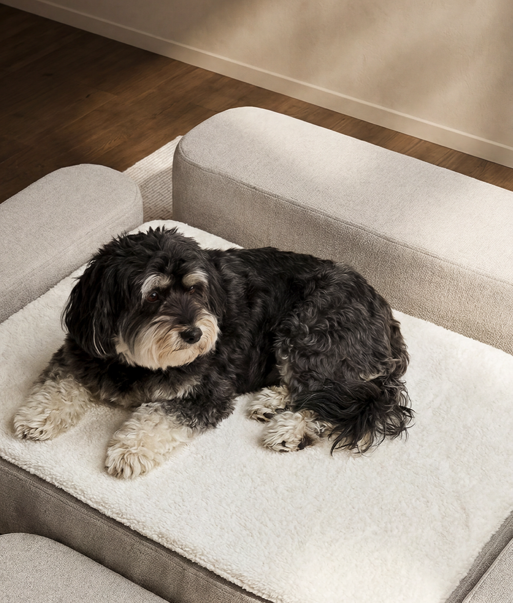 Rückenlehne für orthopädisches Hundebett, Soma