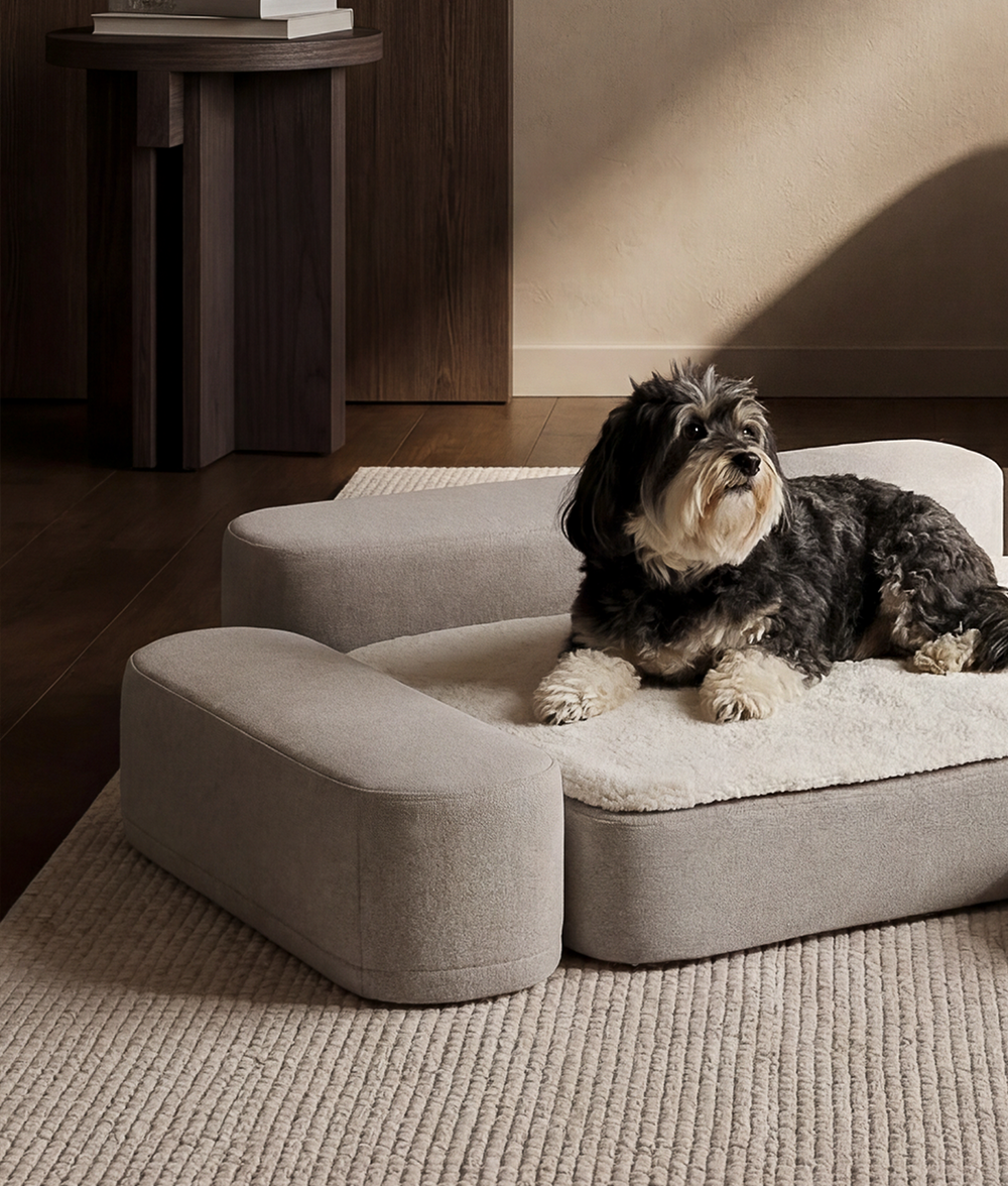 Appui-tête pour lit orthopédique pour chien, Soma