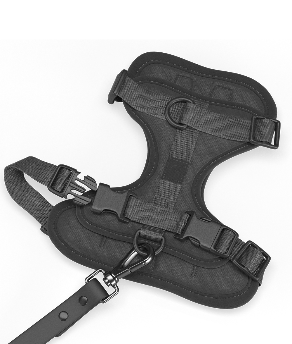 Hundegeschirr Schwarz, Gala