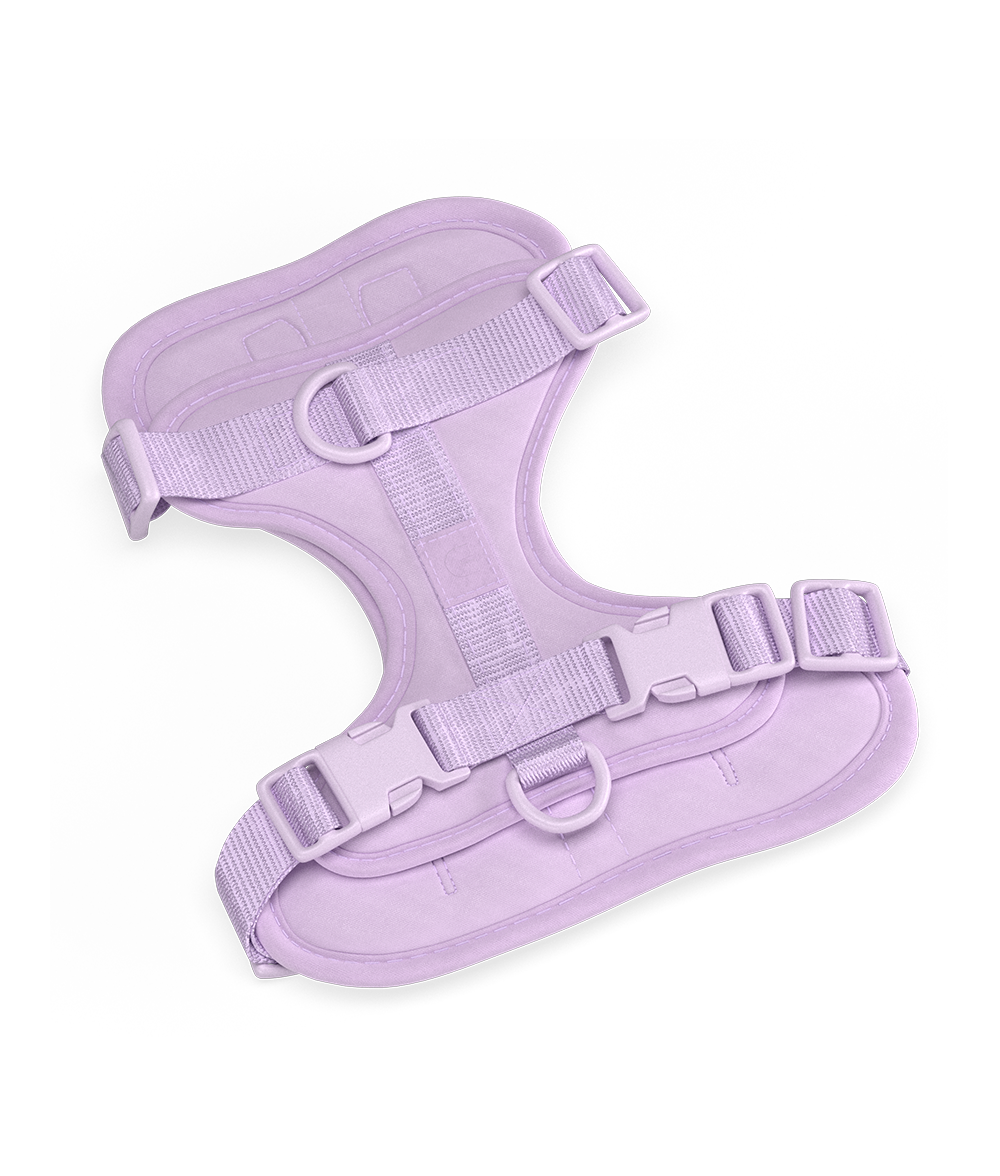 Hundegeschirr Violett, Gala