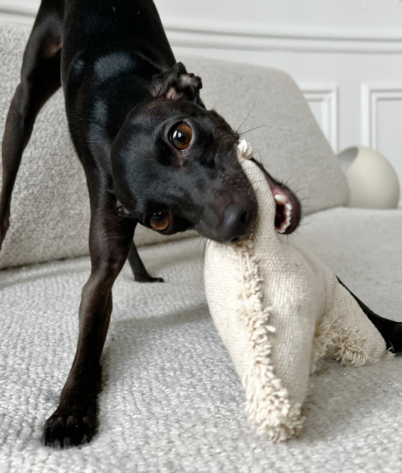 Beige Dog Toy, Play