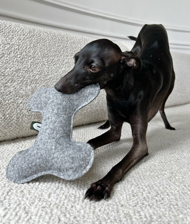 Gray Dog Toy, Play