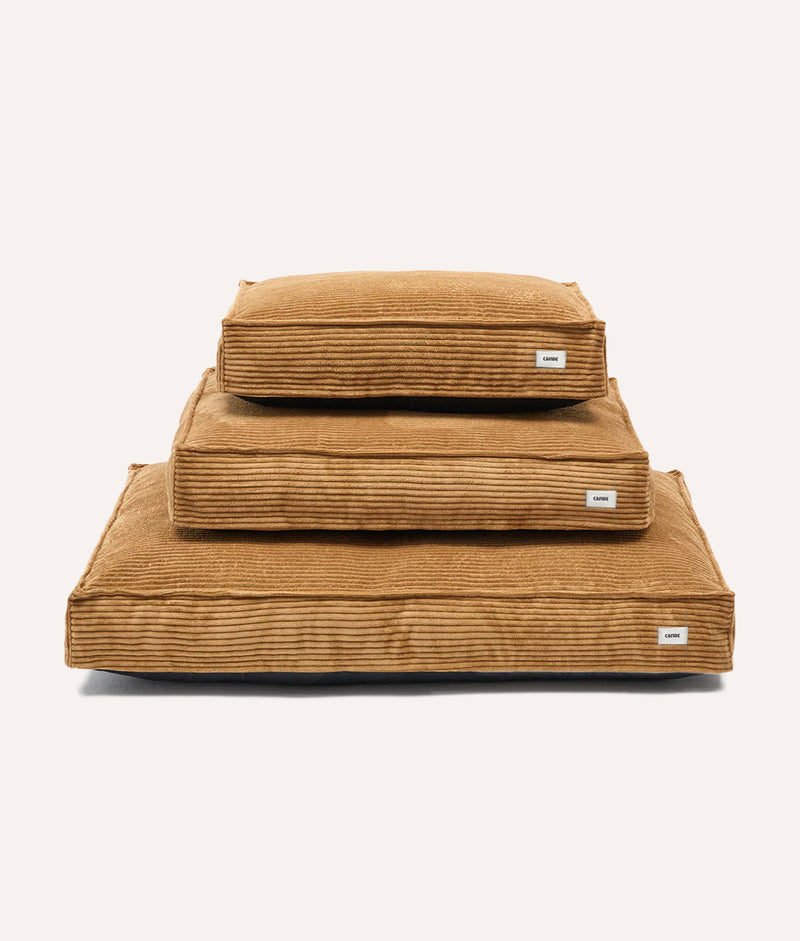 Senffarbenes Cord-Hundebett, Cuadra 