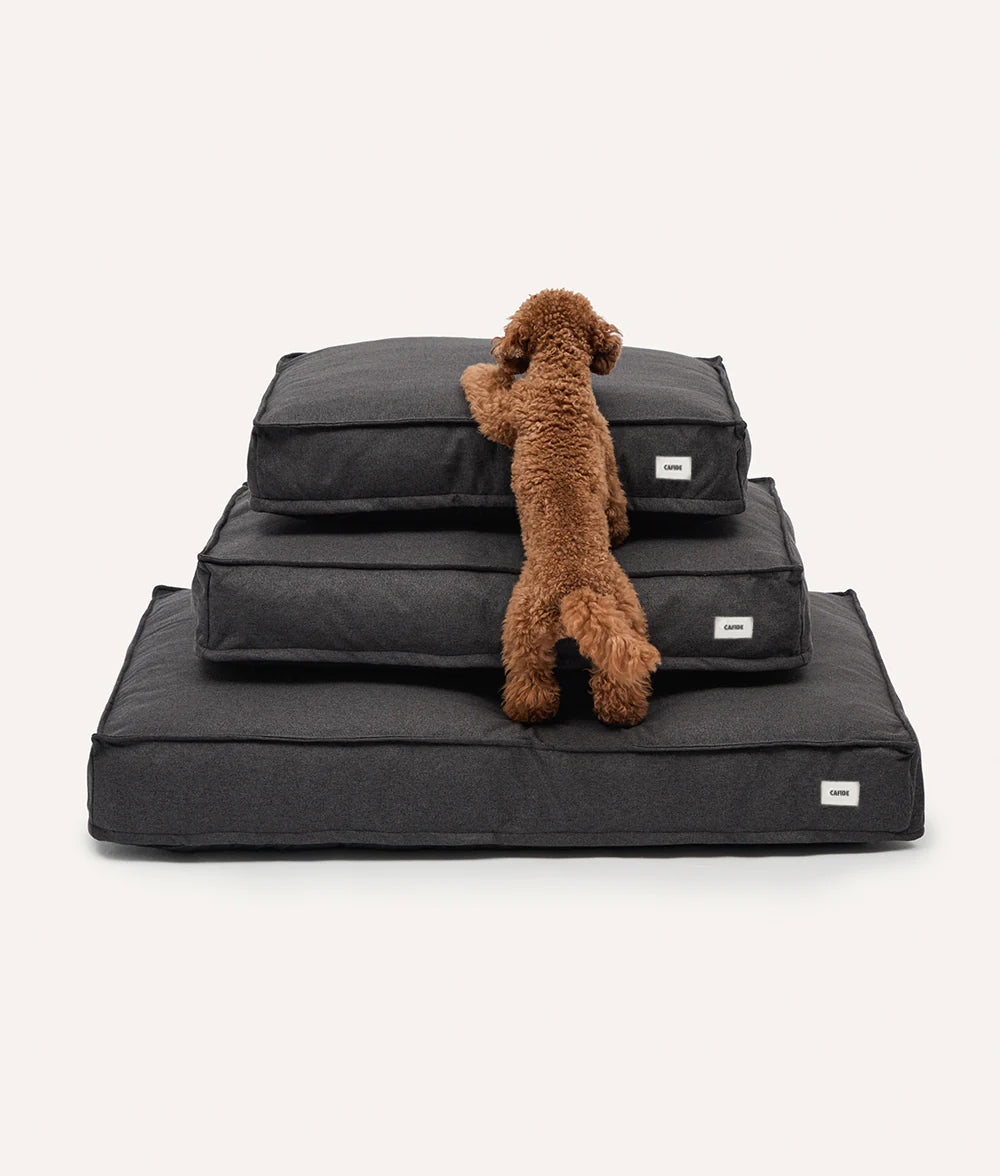 Anthrazitschwarzes Hundebett, Cuadra