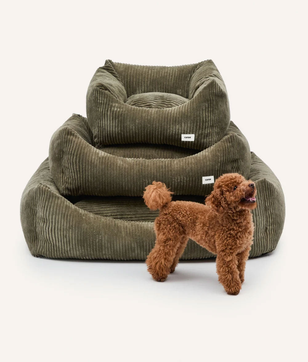 Green Corduroy Dog Bed, Snozy 