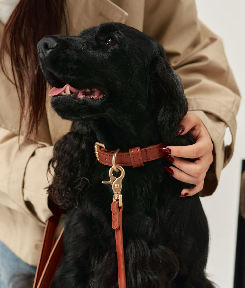 Braunes Hundehalsband aus Veganem Leder, Jala