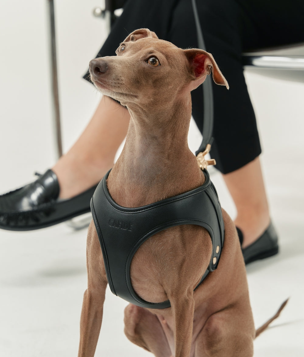 Schwarzes Hundegeschirr aus Veganem Leder, Jala