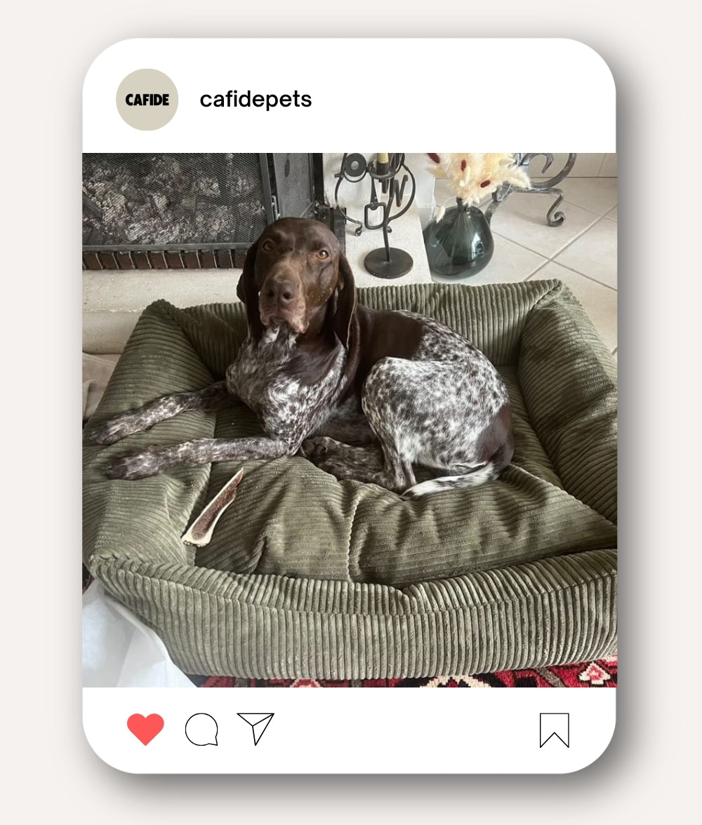 Green Corduroy Dog Bed, Snozy 