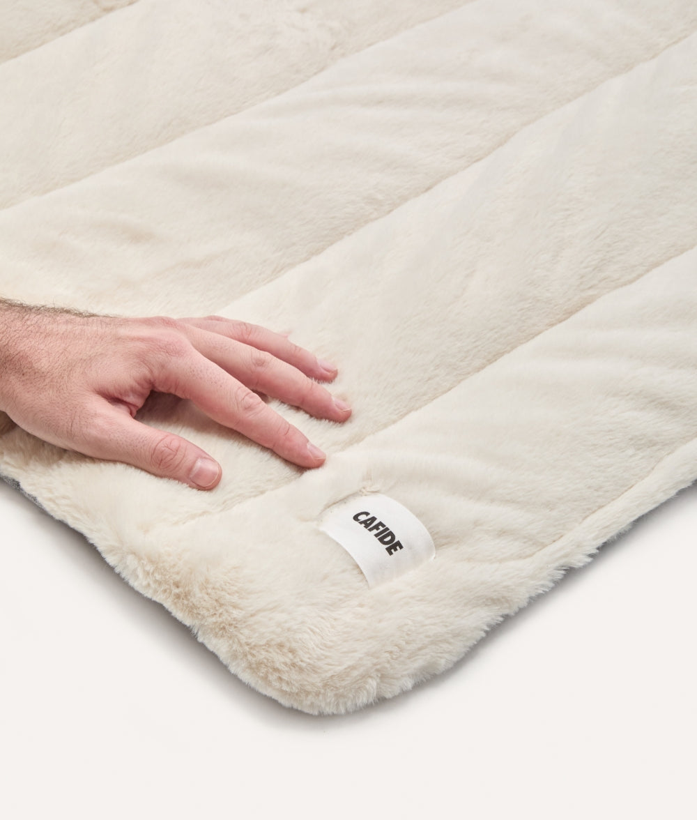 Tragbares Bett für Hunde von Beige, Leila