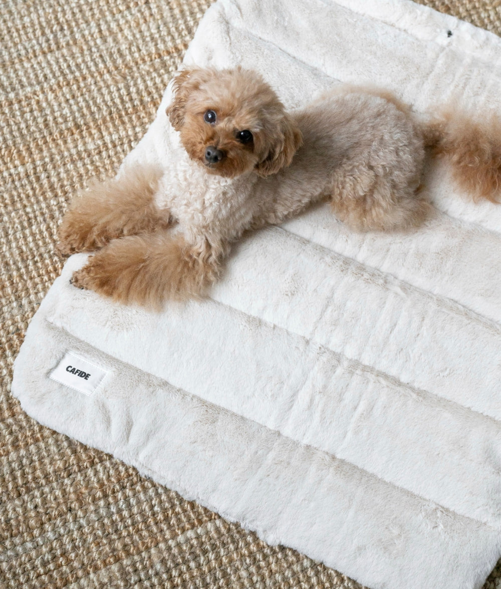 Tragbares Bett für Hunde von Beige, Leila