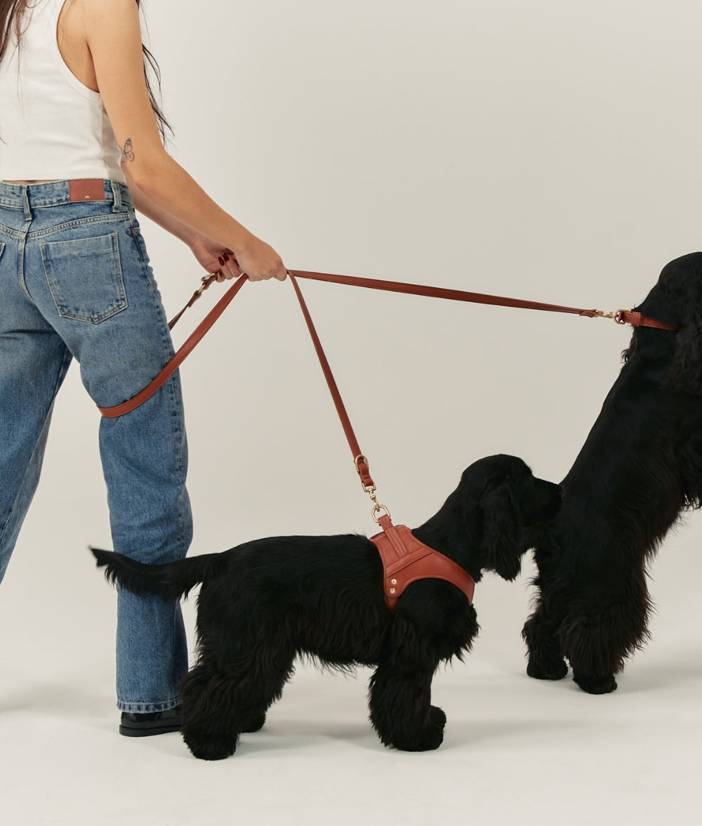 Braune Multipositions-Hundeleine aus Veganem Leder, Jala