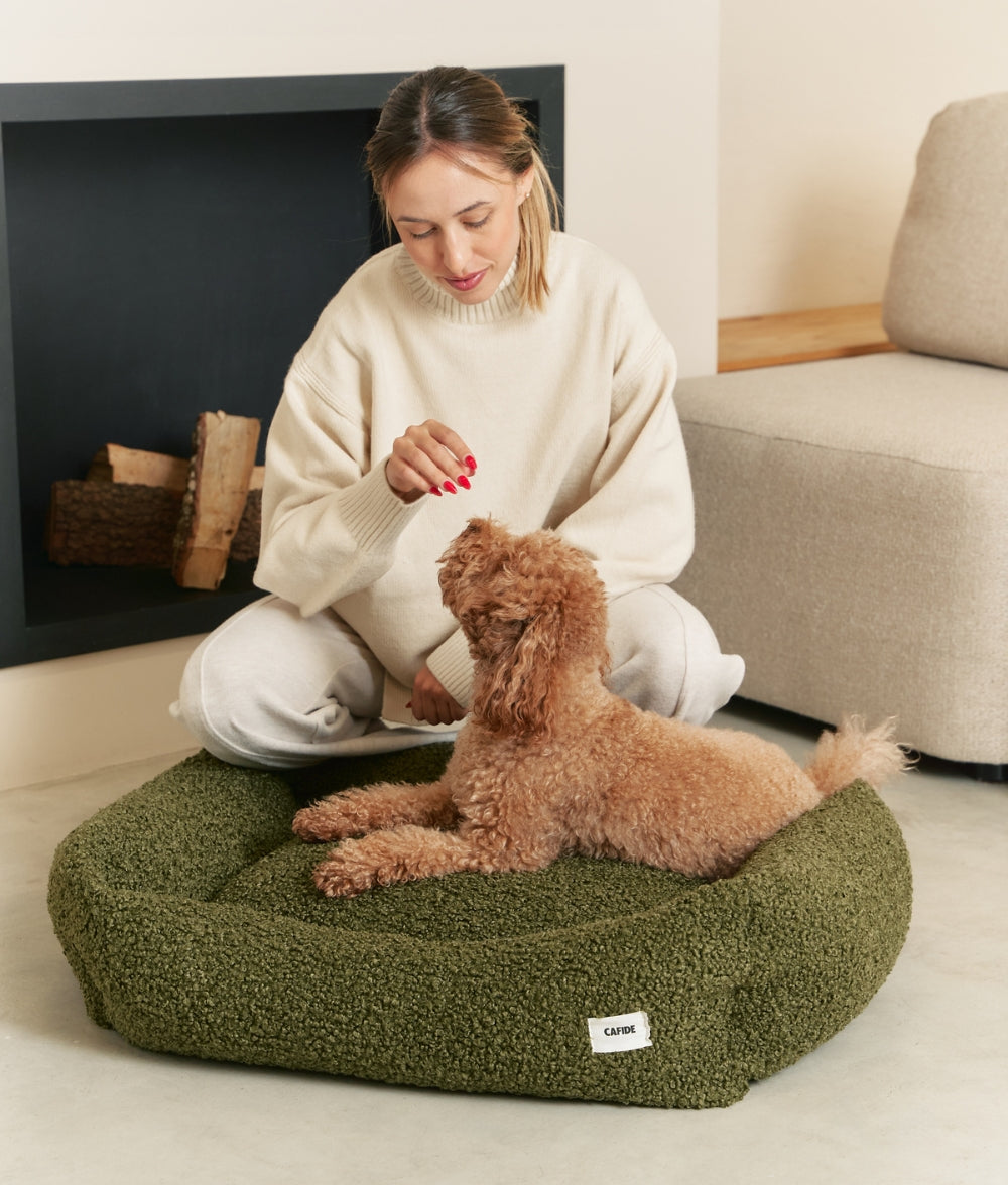 Grünes Teddy-Hundebett, Snozy