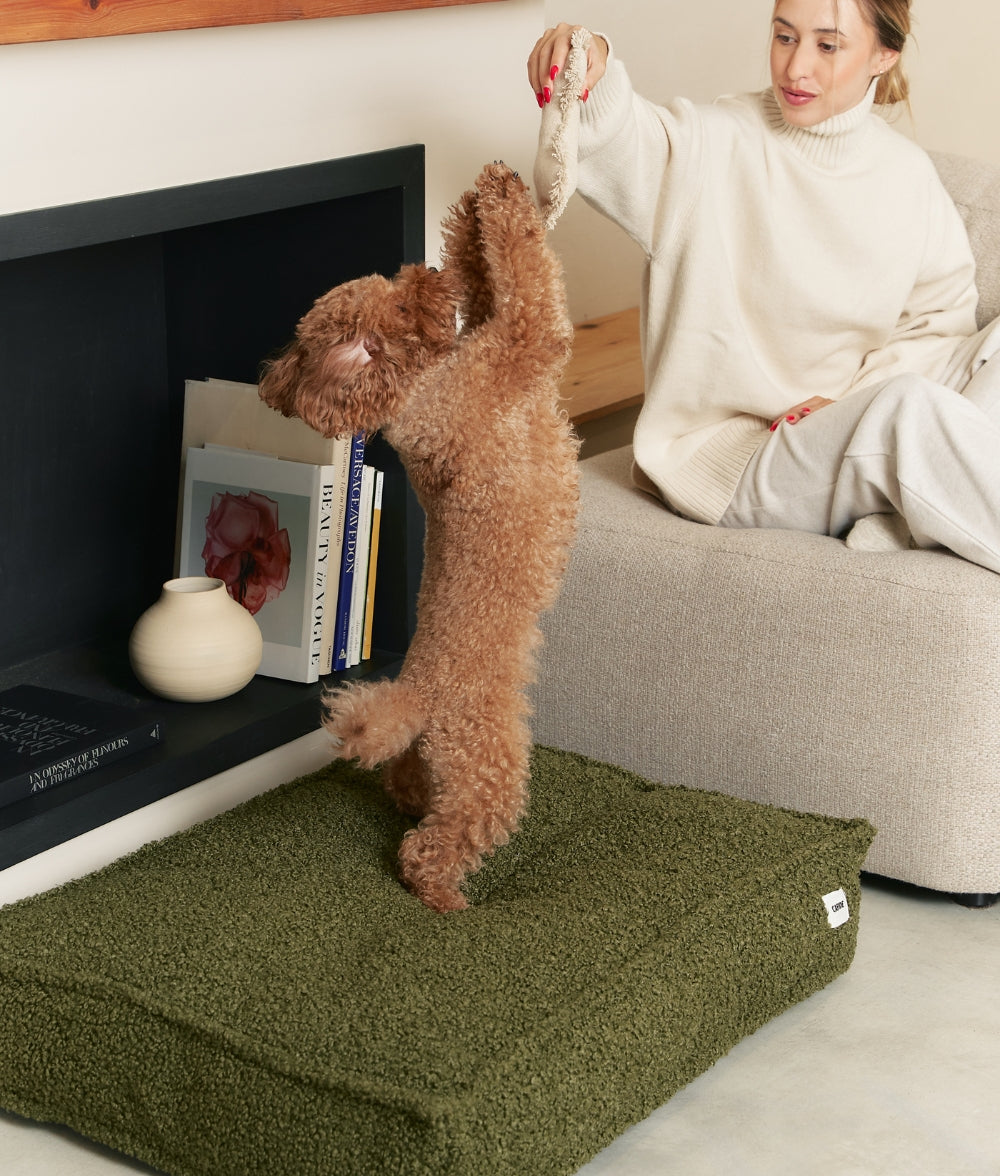 Grünes Teddyfell-Hundebett, Cuadra
