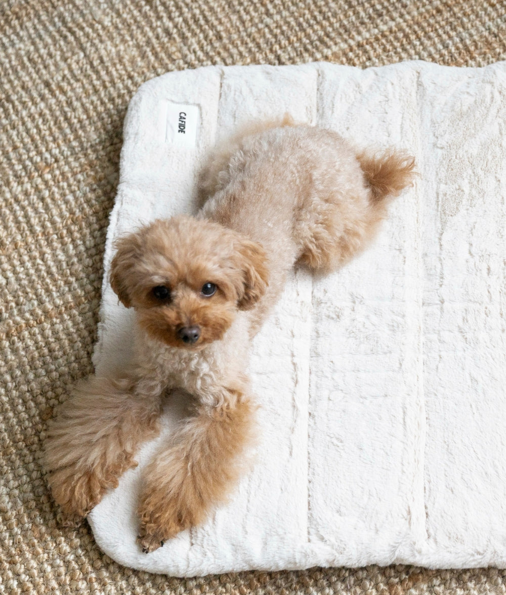 Tragbares Bett für Hunde von Beige, Leila