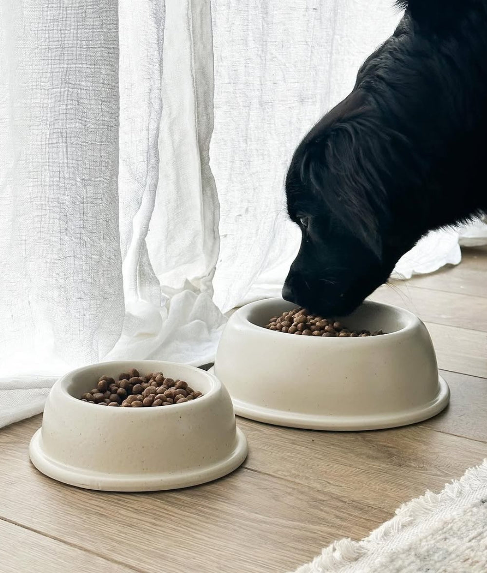 Bone White Ceramic Dog Bowl, Bole