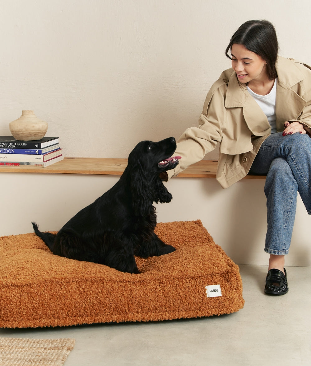 Senffarbenes Teddyfell-Hundebett, Cuadra