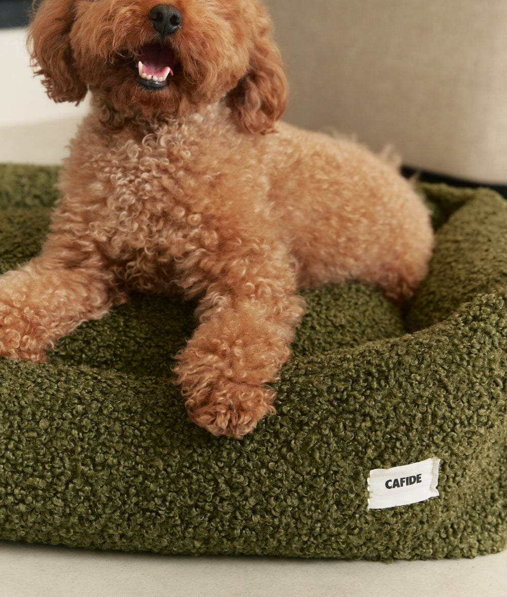 Grünes Teddy-Hundebett, Snozy