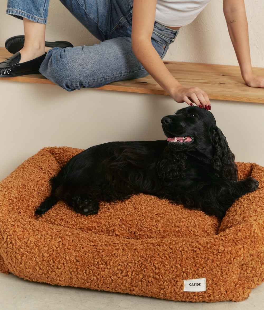 Senf Teddy-Hundebett, Snozy