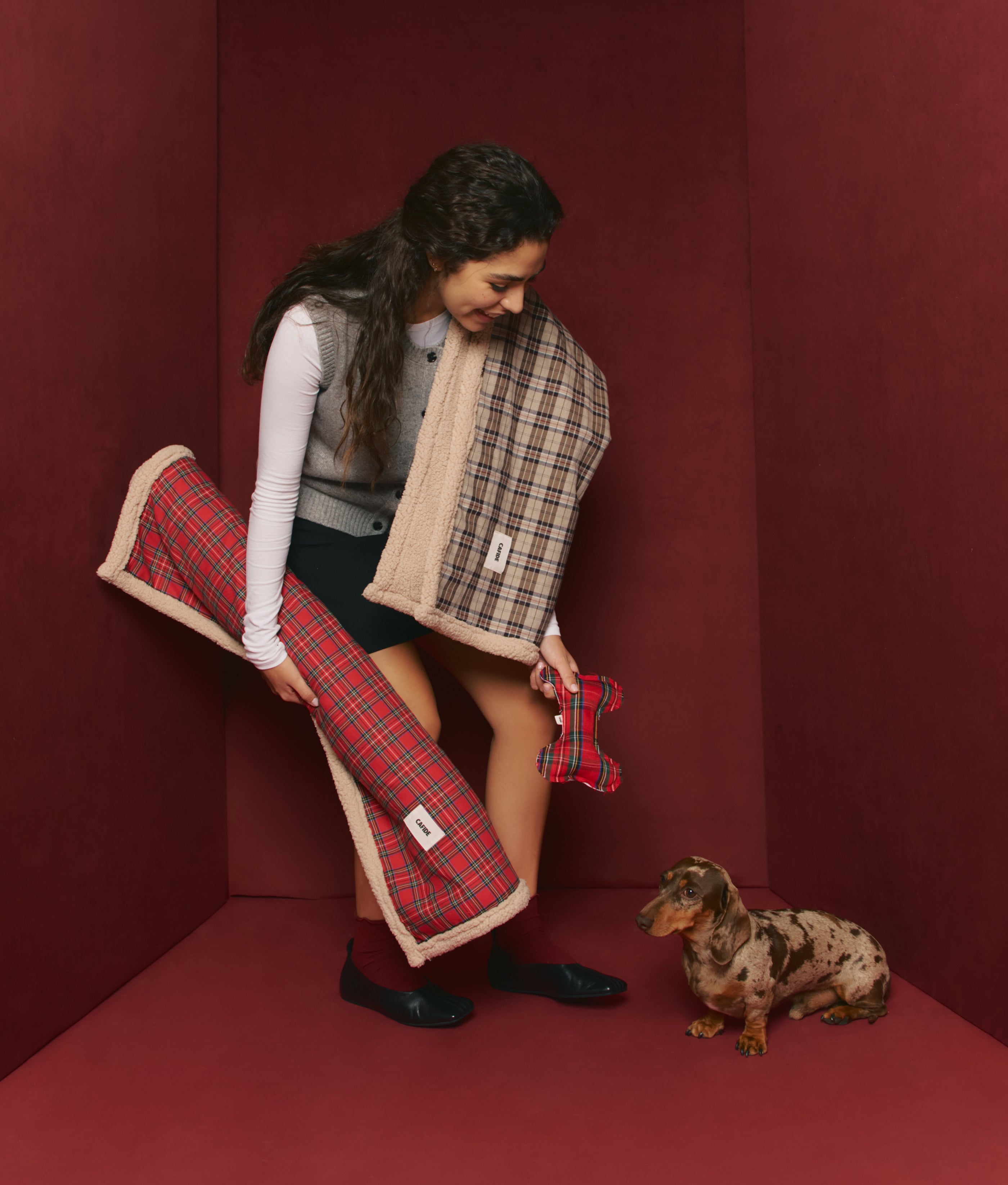 Rote Royal Steward Hundedecke, Toia