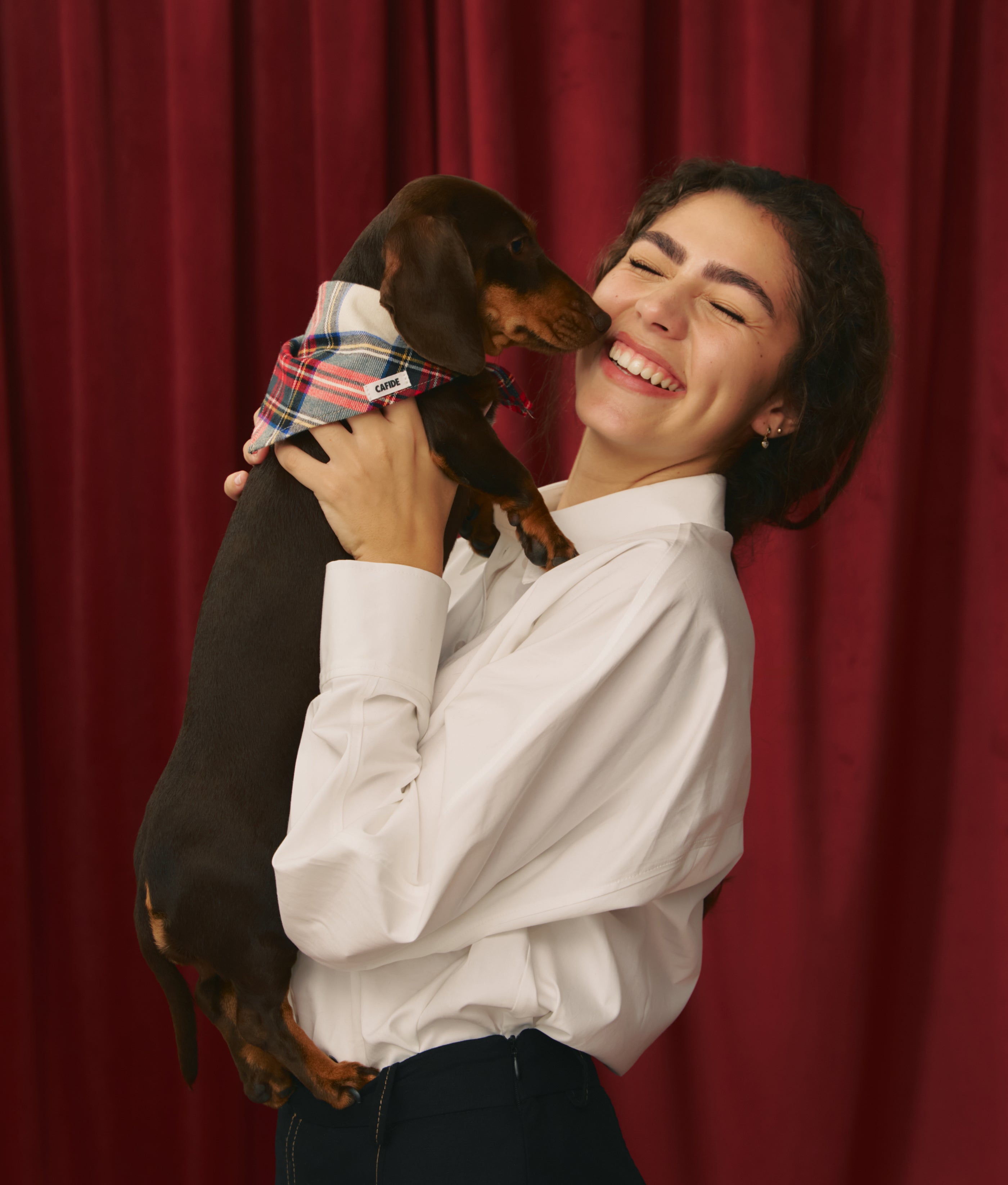 Hundehalstuch Tartankleid Stewart Design, Nata