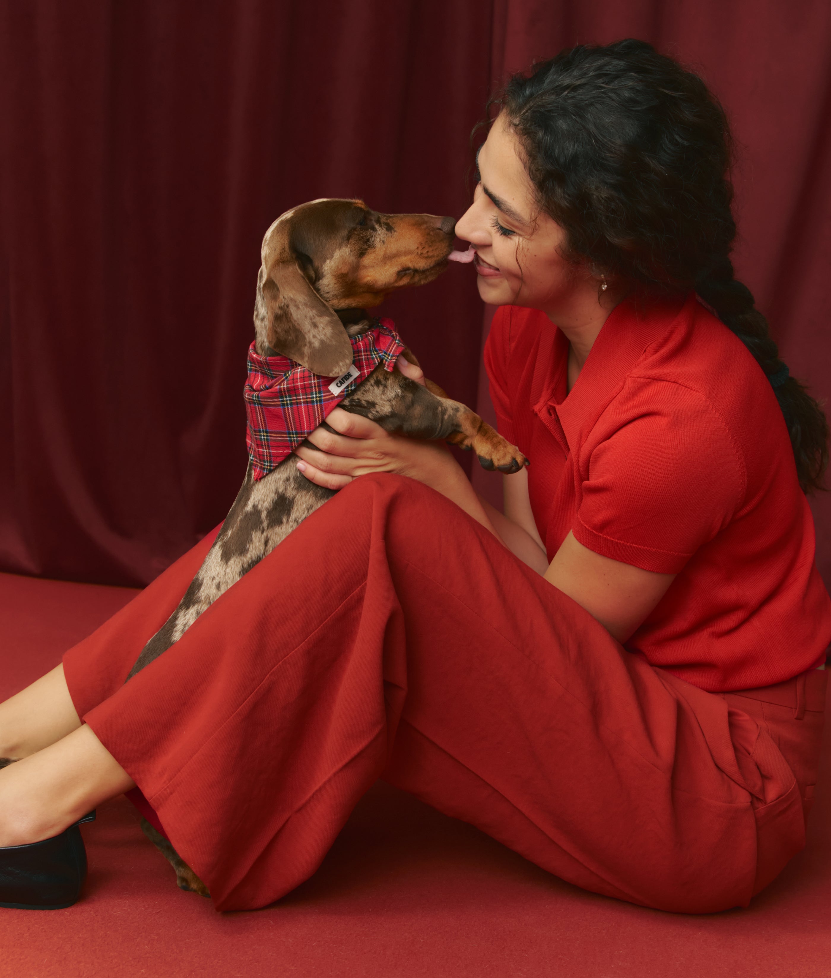 Hundehalstuch mit Royal Stewart Tartan, Nata