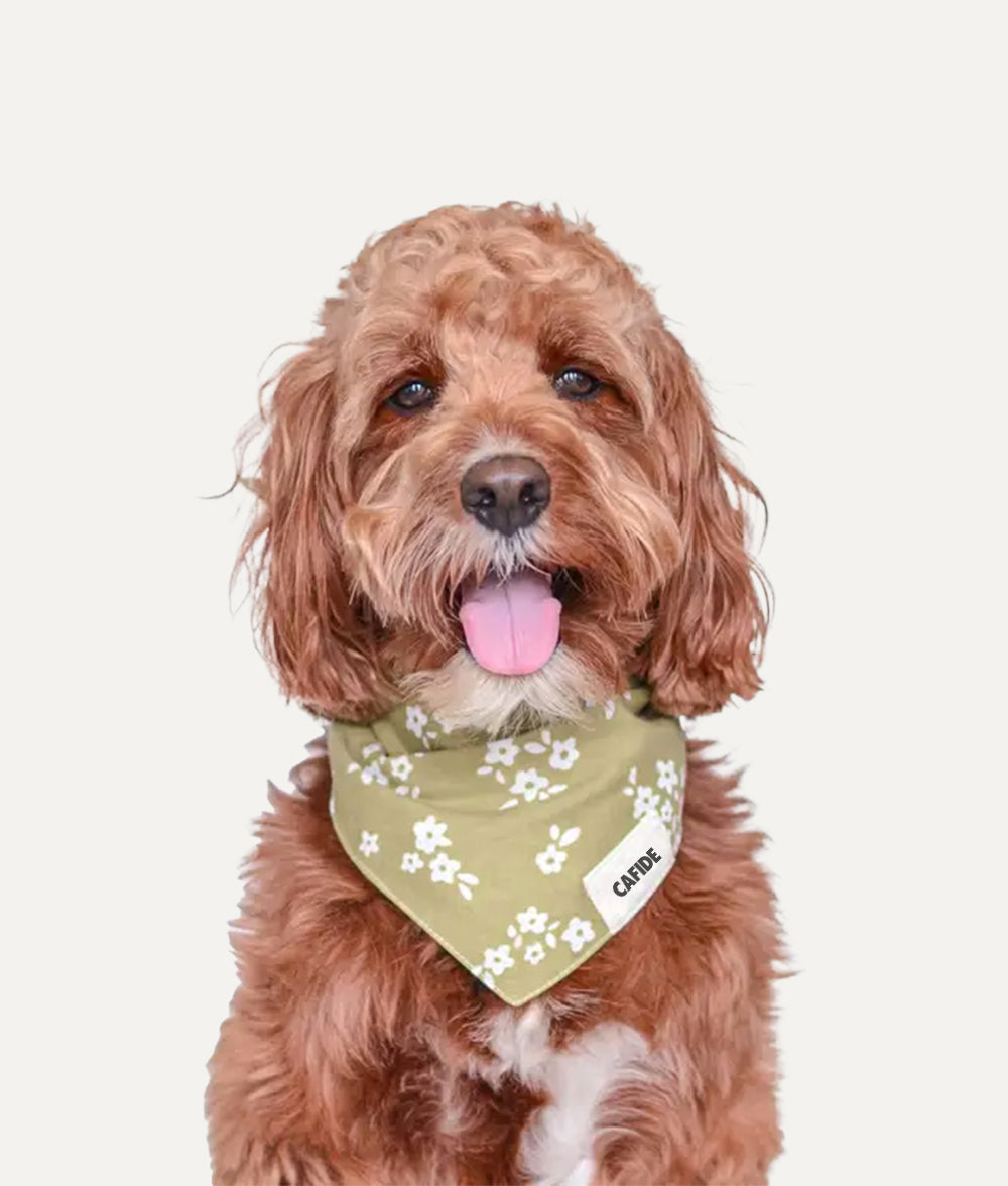 Hundehalstuch mit grünem Blumen-Design, Nata