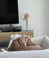 Bone White Corduroy Dog Bed, Snozy 