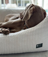 Bone White Corduroy Dog Bed, Snozy 