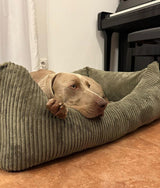 Pack Cama Pana Verde