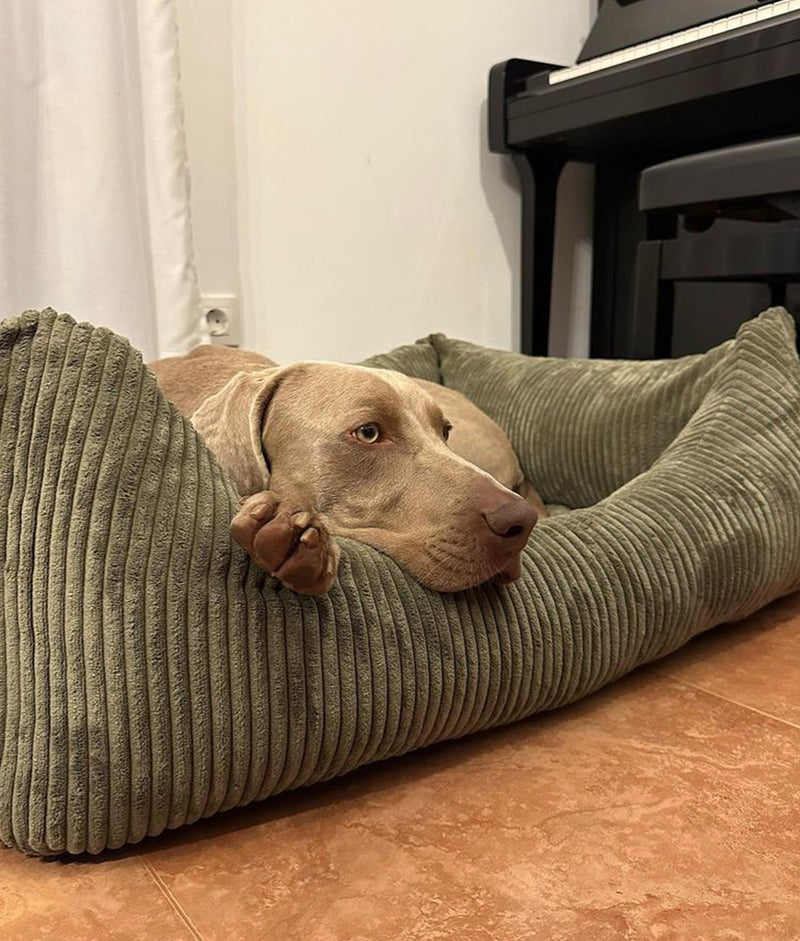 Pack Cama Pana Verde