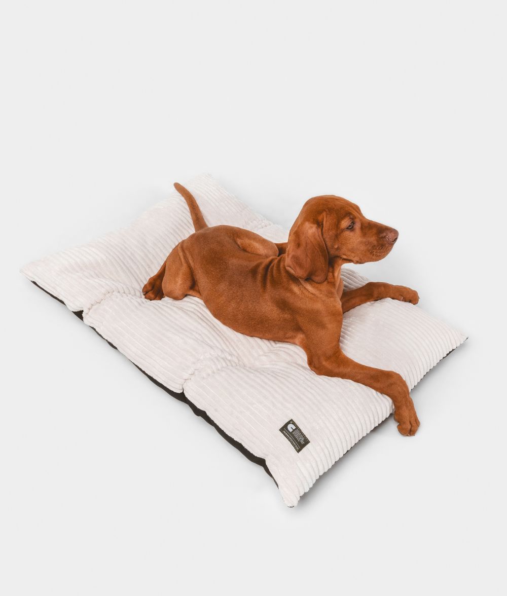 Basic Bone White Cord-Hundekissen, Bela